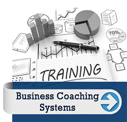business coaching systems